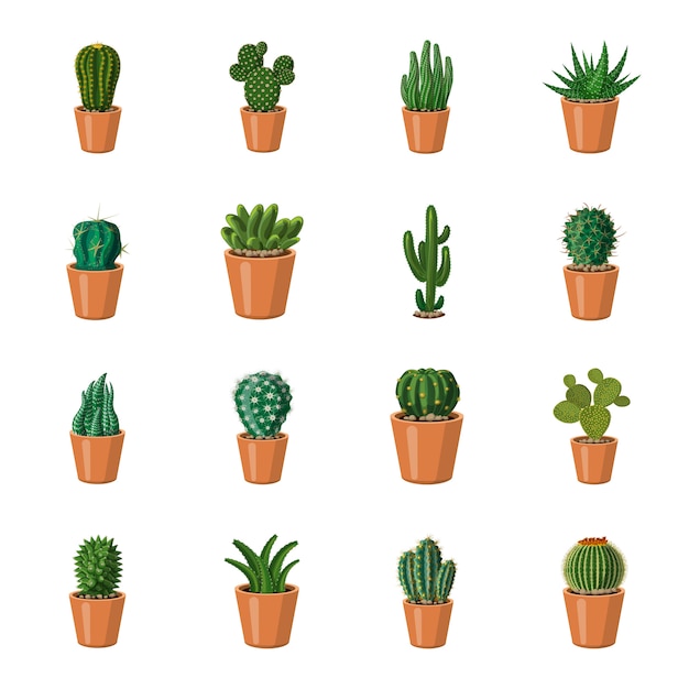 Premium Vector Cactus Cartoon Icon Set Cactus In Pot