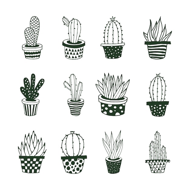 Premium Vector | Cactus doodle