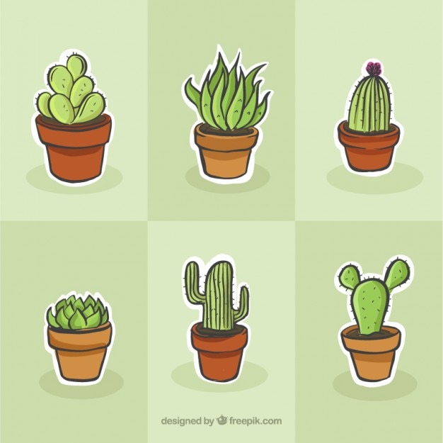 Cactus drawing set Vector Free Download