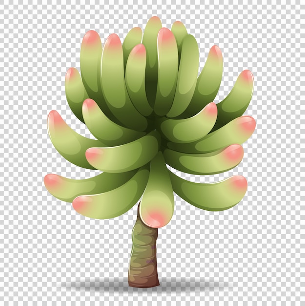 Free Free 238 Cactus Flower Svg Free SVG PNG EPS DXF File