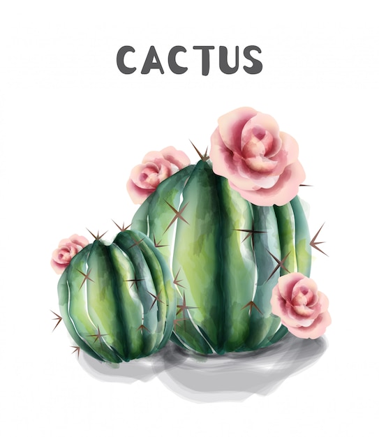 Download Cactus and flowers isolated watercolor | Premium Vector