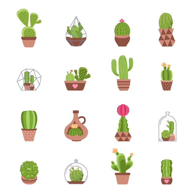 Cactus icons set | Free Vector