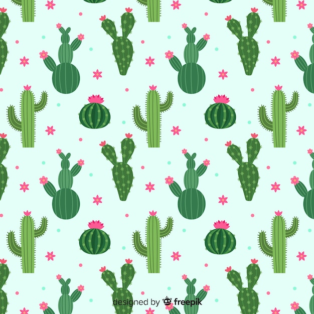 Cactus pattern collection Free Vector