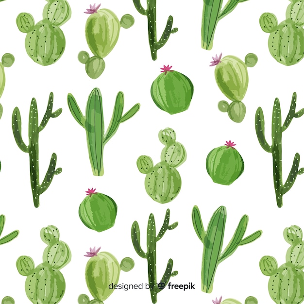 Cactus pattern Free Vector