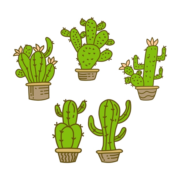  Cactus  pot  design  illustration Vector Premium Download