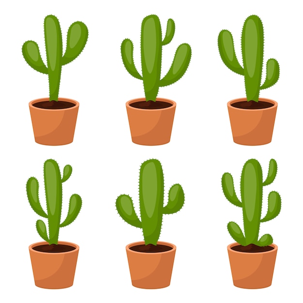 Premium Vector | Cactus set design illustration isolated on white ...