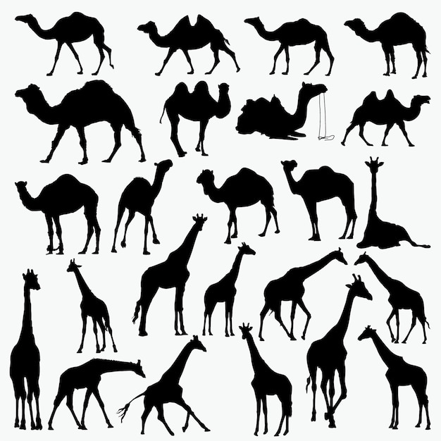 Download Camel giraffe silhouettes Vector | Premium Download