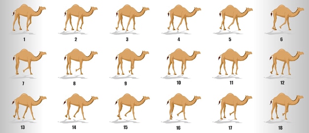  Camel walk cycle animation sequence sprite sheet Premium Vector