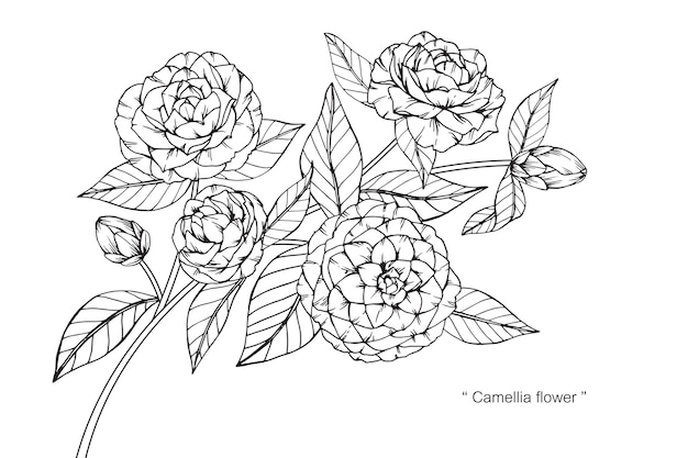 Free Free 305 Camellia Chanel Flower Logo Svg SVG PNG EPS DXF File