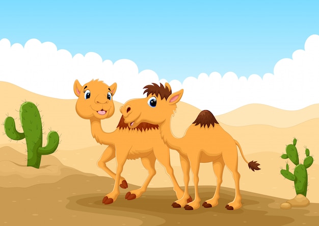 Premium Vector Camels In Desert