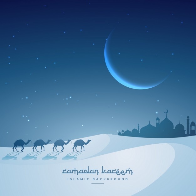 Camels walking in a night desert