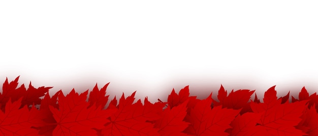 Premium Vector | Canada day background of red maple leaves isolated on
