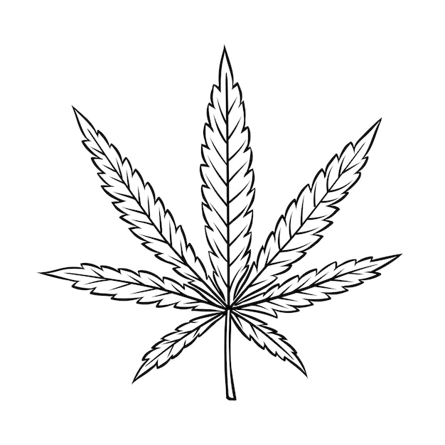 Premium Vector | Cannabis leaf in vintage engraved style for smoking or