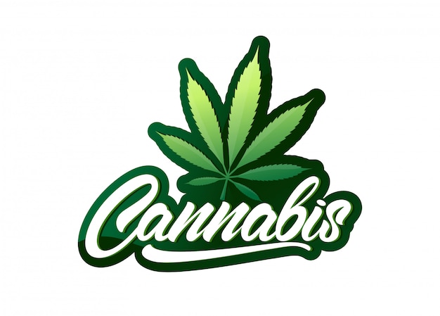 Premium Vector | Cannabis In Lettering Style With Leaf