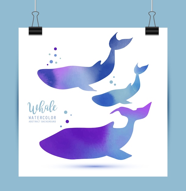 無料のベクター クジラ水彩イラスト