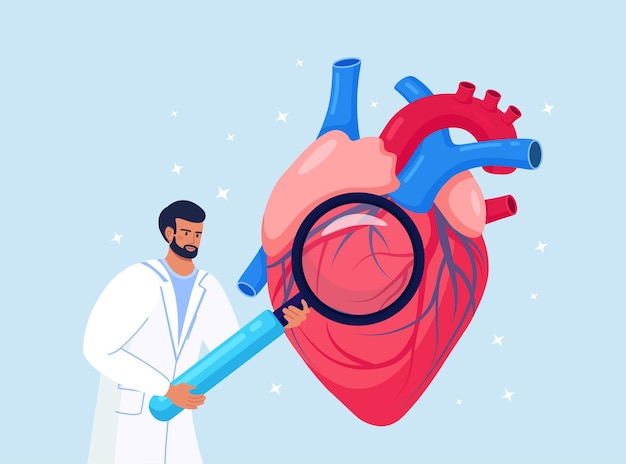 Cardiology. check up of heart health and cardiovascular pressure. cardiologist studying human organ with magnifying glass. circulatory system complications, ischemic heart, coronary artery disease Premium Vector