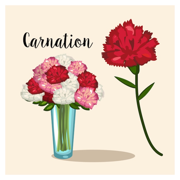 カーネーションの花 カーネーションの花の花瓶 ベクター プレミアムベクター
