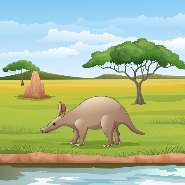 Premium Vector Cartoon Aardvark In The Savannah