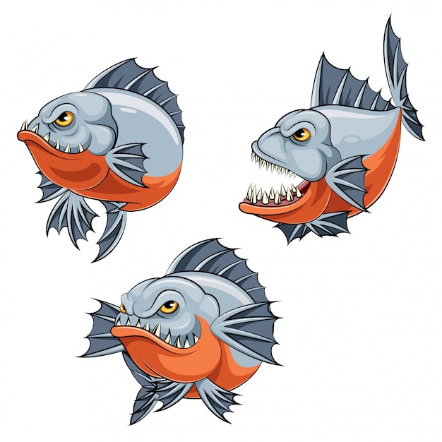 Download A cartoon angry piranha fish Vector | Premium Download