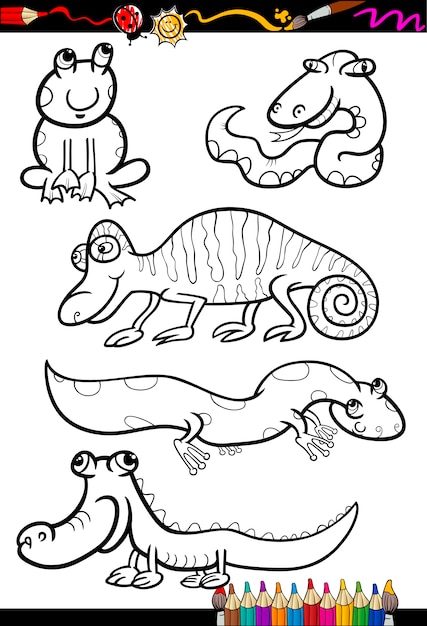 Premium Vector | Cartoon animals set for coloring book