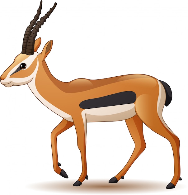 Premium Vector Cartoon Antelope Isolated On White Background