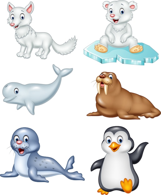 Cartoon arctic animals collection set | Premium Vector