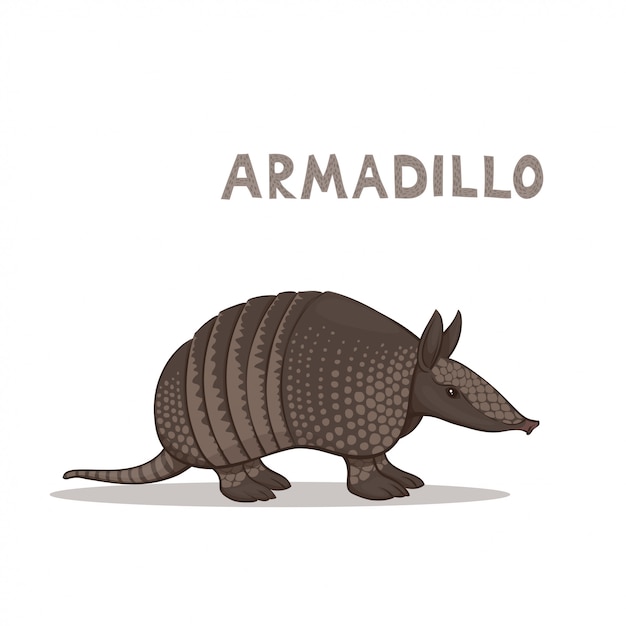 Armadillo Cartoon Image - 544 armadillo clip art images on gograph
