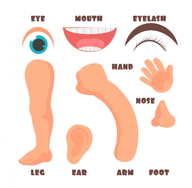 Premium Vector Cartoon Baby Body Parts With English Vocabulary Set