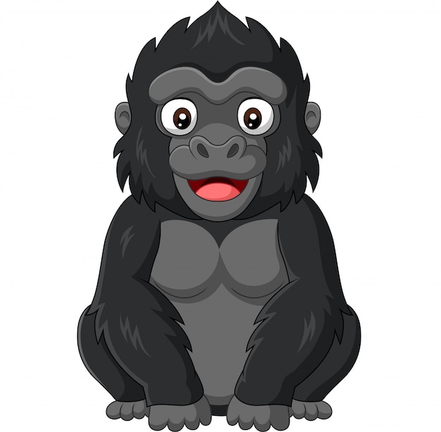 Featured image of post Cartoon Gorilla Images : Download gorilla images and photos.