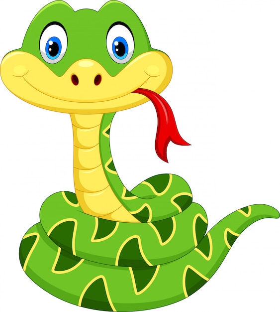 Premium Vector | Cartoon baby green snake