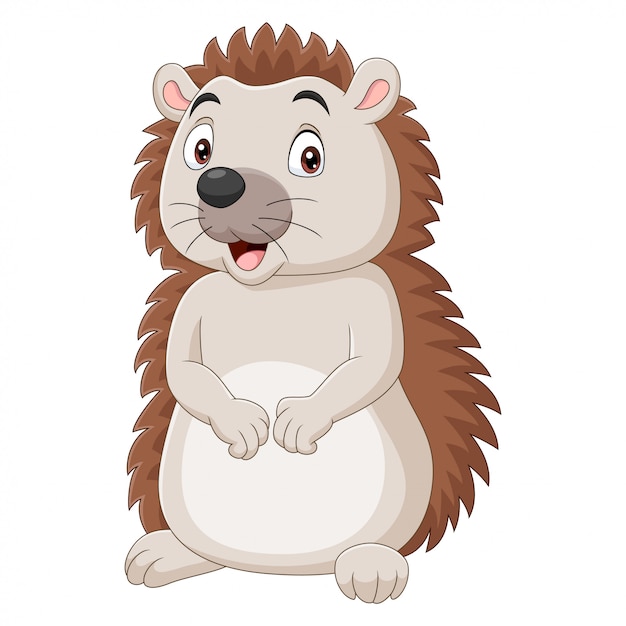 Premium Vector | Cartoon Baby Hedgehog Isolated On White Background