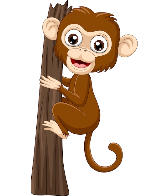 little monkey climbing frame