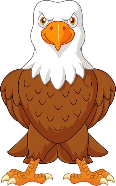 Premium Vector | Cartoon bald eagle posing isolated on white background