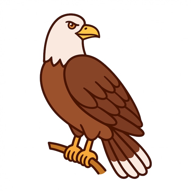 Cartoon bald eagle | Premium Vector