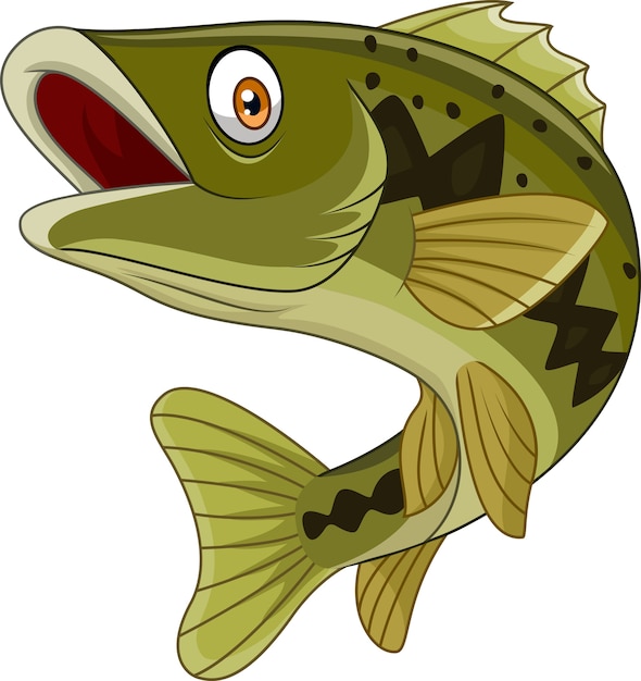 Premium Vector | Cartoon bass fish isolated on white background