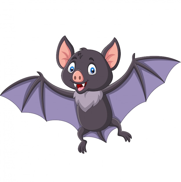 Premium Vector | Cartoon bat flying isolated on white background