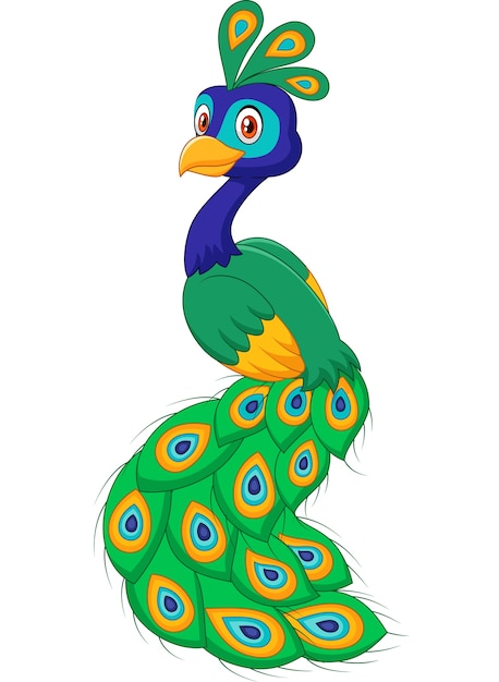 Cartoon beautiful peacock Vector | Premium Download