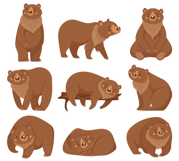 Premium Vector Cartoon brown bear. grizzly bears, wild nature forest