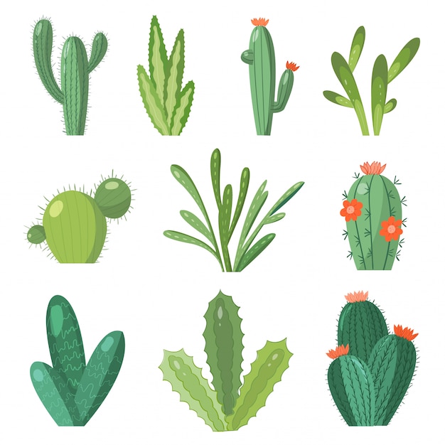 Premium Vector Cartoon Cactus Set Set Bright Cacti And Aloe Colored Bright Cacti Flowers Isolated On White