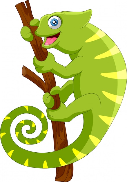 Premium Vector | Cartoon chameleon on a branch