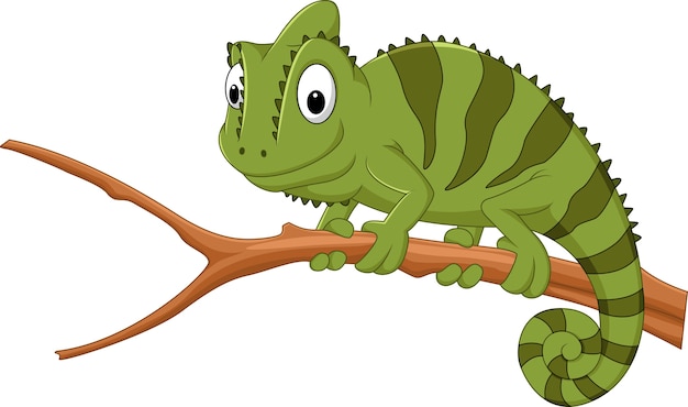 Premium Vector | Cartoon chameleon on a branch