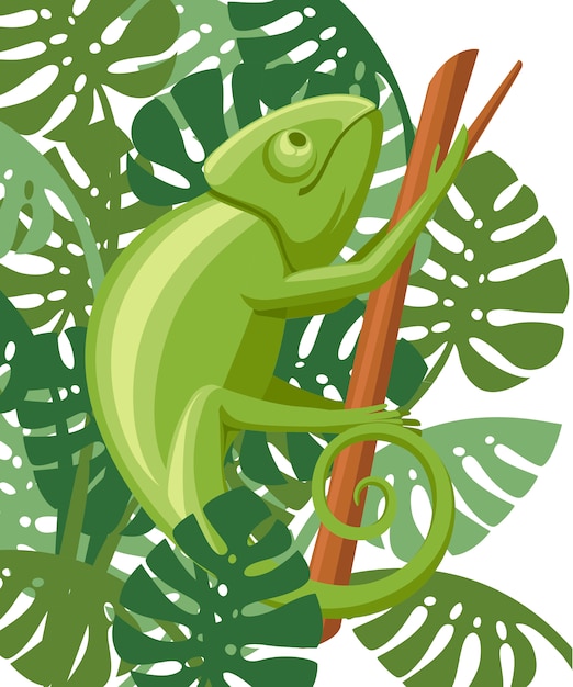 漫画カメレオンは枝に登る 小さな緑のトカゲ カメレオンのロゴデザイン フラットアイコン 緑の葉と白い背景のイラスト プレミアムベクター