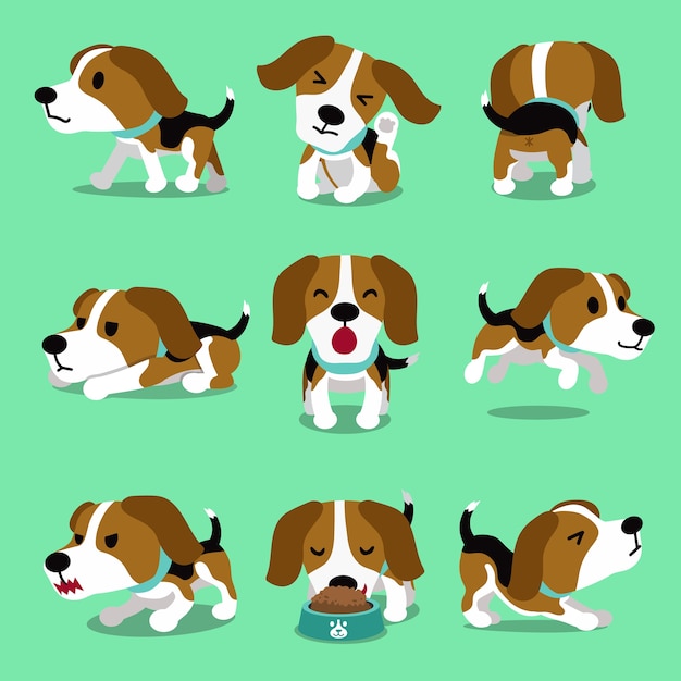 Premium Vector | Cartoon character beagle dog poses