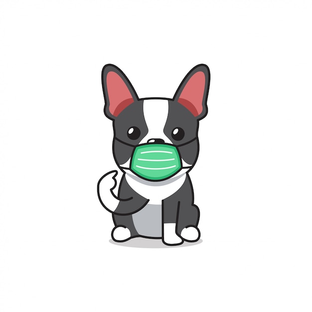 Premium Vector | Cartoon character boston terrier dog wearing