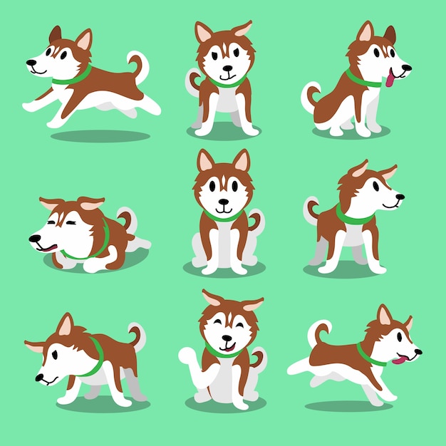 Premium Vector | Cartoon character brown siberian husky dog poses