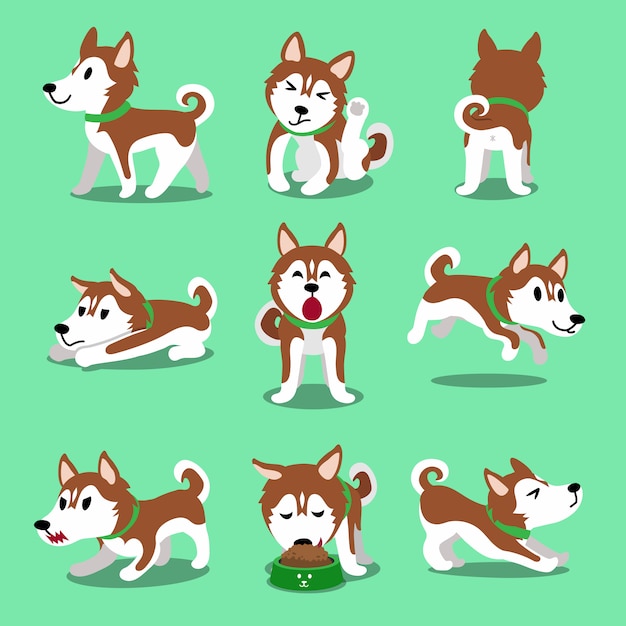 Premium Vector | Cartoon character brown siberian husky dog poses