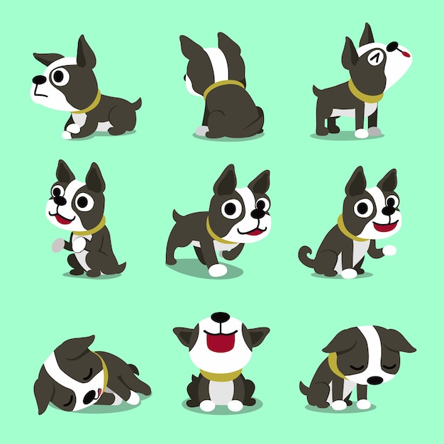 かわいいボストンテリア犬のポーズセット漫画キャラクター プレミアムベクター