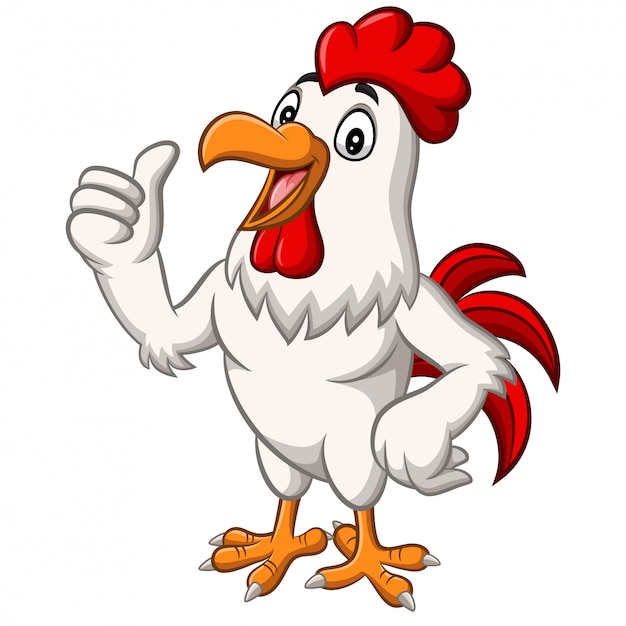 Premium Vector | Cartoon chicken rooster mascot giving thumb up