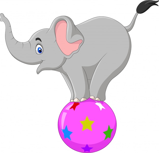 Premium Vector | Cartoon circus elephant standing on a ball