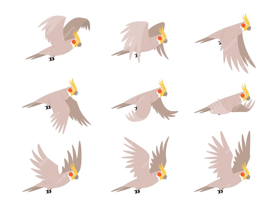 Premium Vector Cartoon cockatoo parrot fly animation frames sequence